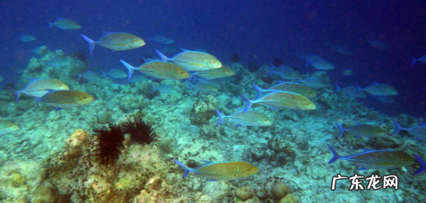 石头里面有空气,地下五米砂石中有空气嘛为什么