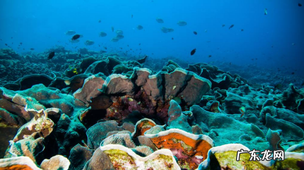 石头里面有空气,地下五米砂石中有空气嘛为什么