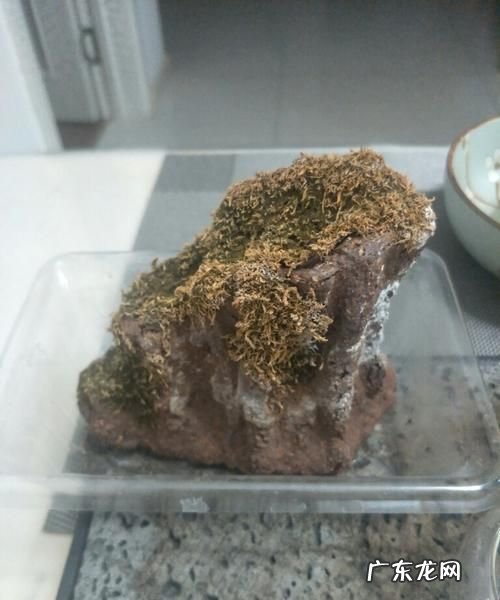 石头里面有空气,地下五米砂石中有空气嘛为什么