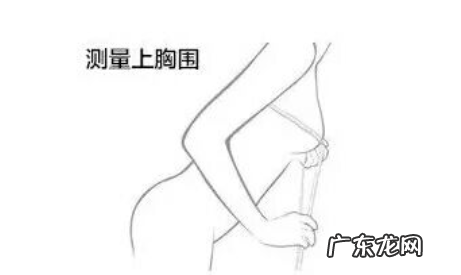 怎么测罩杯尺寸标准,量胸围怎么量标准女