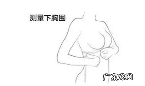 怎么测罩杯尺寸标准,量胸围怎么量标准女