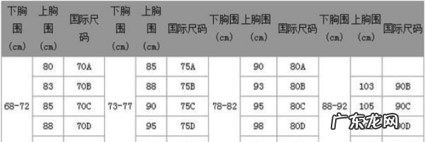 怎么测罩杯尺寸标准,量胸围怎么量标准女
