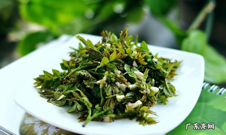 香椿隔夜可以吃,香椿炒鸡蛋隔夜能吃