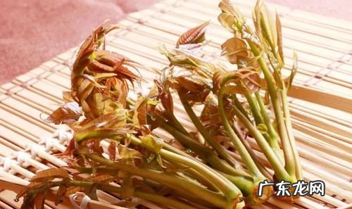 香椿隔夜可以吃,香椿炒鸡蛋隔夜能吃