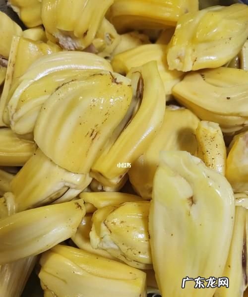 菠萝蜜果肉出水了还能吃,菠萝蜜果肉出水还能吃
