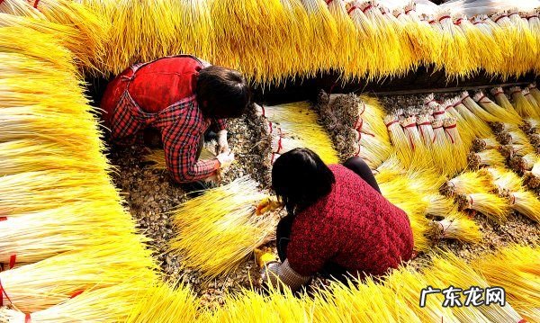 新蒜怎么变成老蒜,红姜老蒜怎么做才好吃