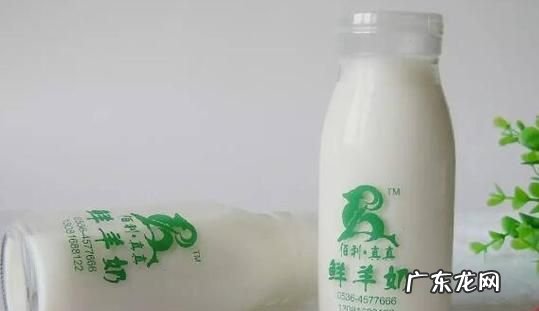 鲜羊奶什么时候喝最有营养,羊奶什么时候喝好