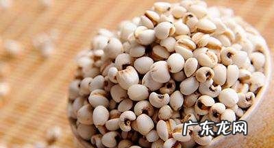 红豆薏米茶用温水还是开水,泡过的薏米红豆凉水下锅还是开水下锅