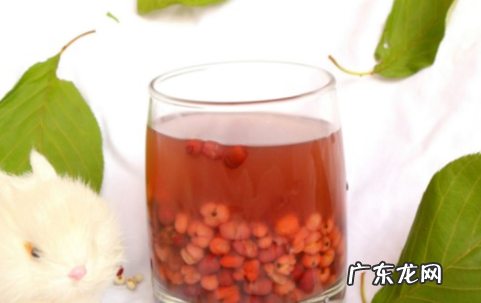 红豆薏米茶用温水还是开水,泡过的薏米红豆凉水下锅还是开水下锅