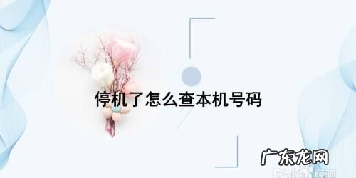 手机号因举报骚扰停机怎么恢复,骚扰电话管理单停怎么解除