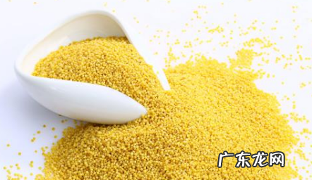 小米煮粥和什么搭配好,小米粥最佳搭配有哪些