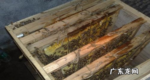 夏天蜂箱要不要通风,夏季蜂箱箱盖通风挡条要不要关上