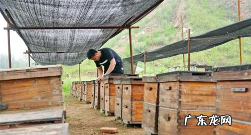 夏天蜂箱要不要通风,夏季蜂箱箱盖通风挡条要不要关上