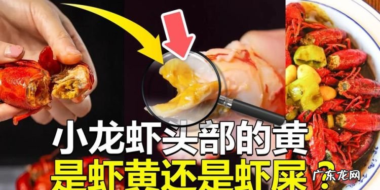 龙虾头里面的黄是什么东西,小龙虾虾头的黄是什么