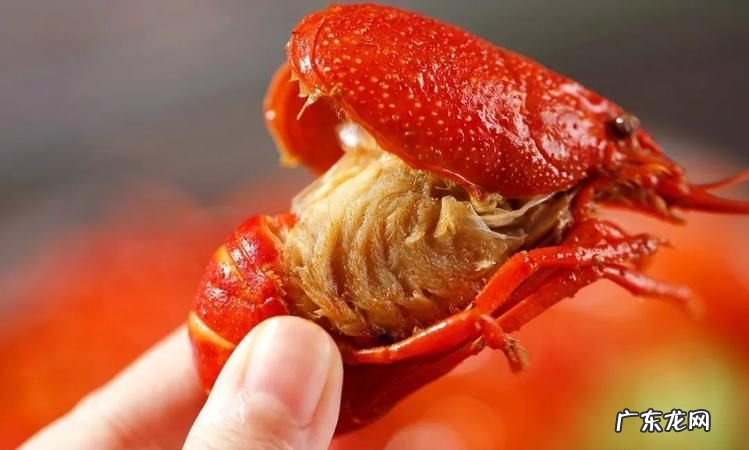 龙虾头里面的黄是什么东西,小龙虾虾头的黄是什么