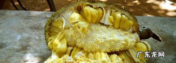 菠萝菠萝蜜怎么剥开,菠萝菠萝蜜怎么吃