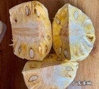 菠萝菠萝蜜怎么剥开,菠萝菠萝蜜怎么吃