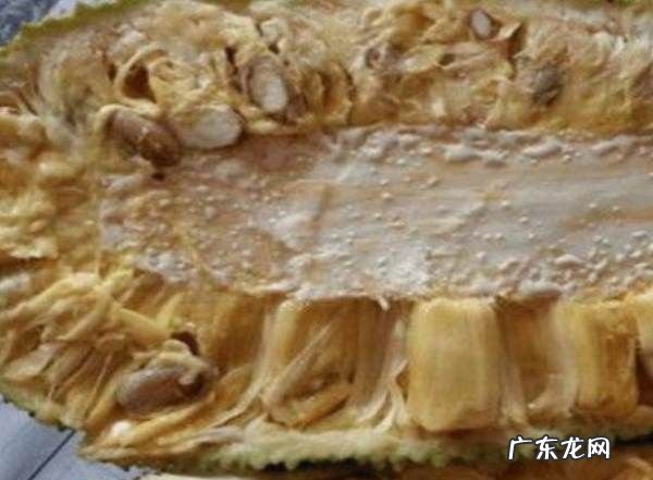 菠萝菠萝蜜怎么剥开,菠萝菠萝蜜怎么吃