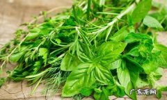 山野菜怎么冷冻,在农村里采挖回来的野菜能吃