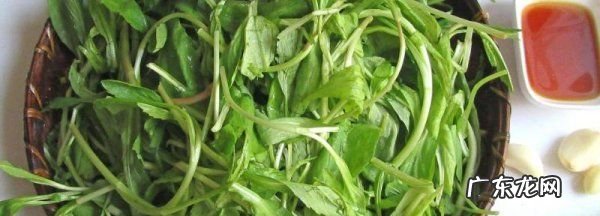 山野菜怎么冷冻,在农村里采挖回来的野菜能吃