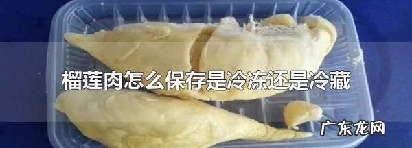 榴莲肉冷冻还是冷藏,榴莲肉放在冷藏还是冷冻