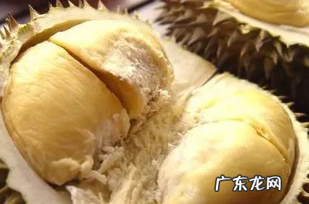 榴莲吃起来很苦是怎么回事,榴莲发苦怎么回事还能吃