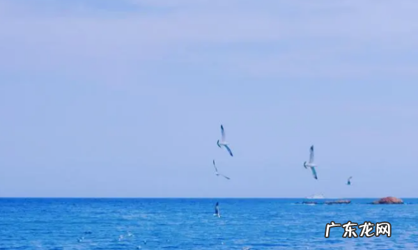关于海洋美好的句子,关于海洋的优美句子短一点的
