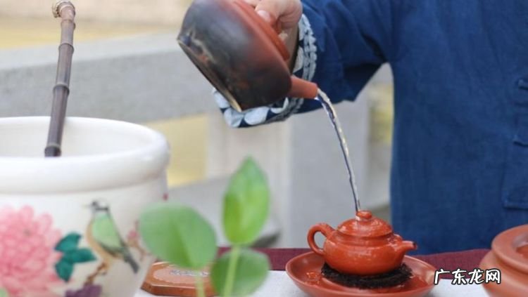 什么是功夫茶,功夫茶艺表演