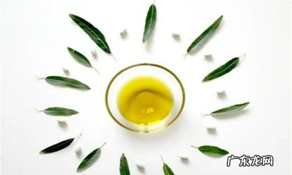 低脂油有哪些,有脂肪肝的吃什么油好