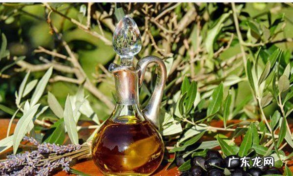 低脂油有哪些,有脂肪肝的吃什么油好