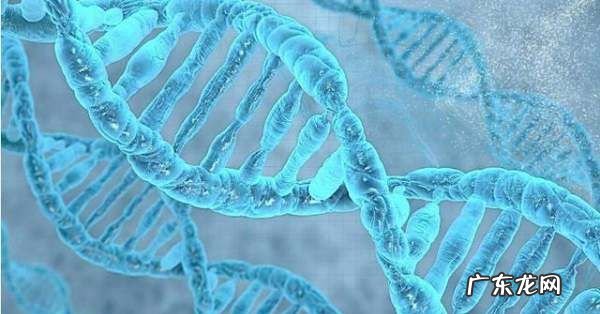 atcg分别是什么,生物中ATCG分别代表什么