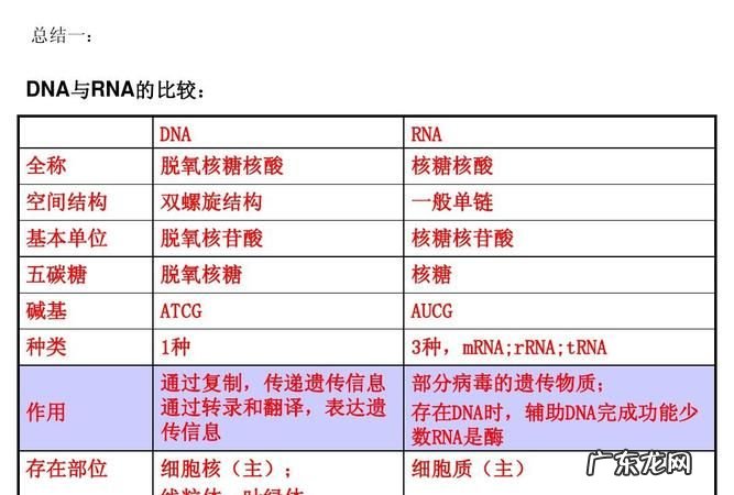 atcg分别是什么,生物中ATCG分别代表什么