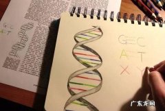 atcg分别是什么,生物中ATCG分别代表什么