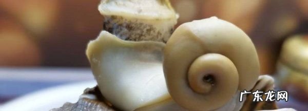 黄螺冷水煮还是开水煮,煮海螺是冷水下锅还是热水下锅