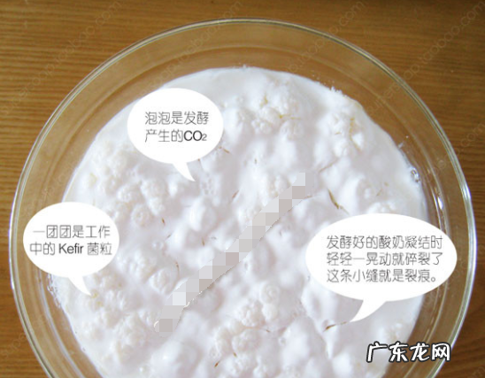 自己做的酸奶和买的酸奶有什么区别,自己做出来的酸奶和超市卖的酸奶有什么区别