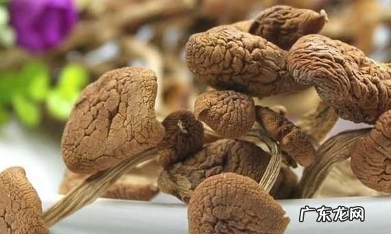 茶树菇不能和什么一起吃,茶树菇不能和什么一起吃