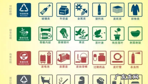 瓷盘子是什么垃圾,猪吃的是什么垃圾 湿垃圾厨余垃圾的一部分