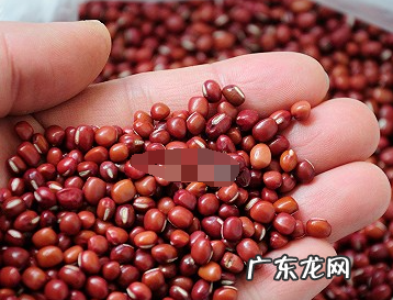 豆沙馅为什么要加油炒,豆沙馅是不是必须加花生油炒制才好吃