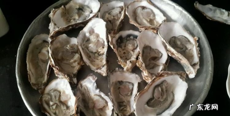 生蚝撬开后肉还要洗,生蚝撬开了还要洗