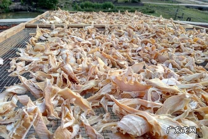 鲜竹笋如何制作笋干,新鲜竹笋怎么做成笋干教程