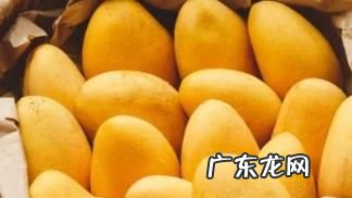 一个人一天可以吃几个芒果,青芒果一天吃多少克合适