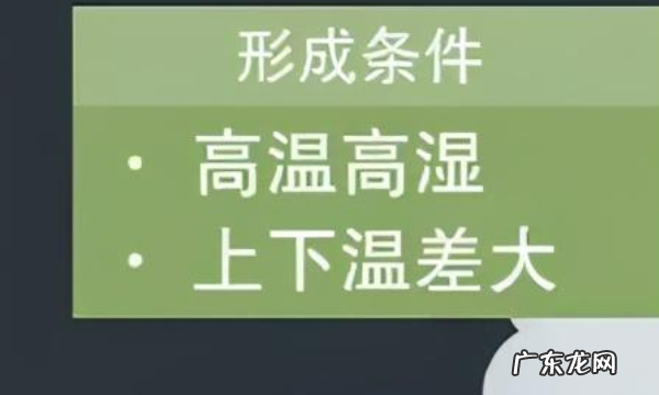 在野外遇到龙卷风时应该怎么办,遇到龙卷风该怎么办