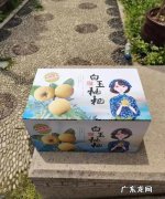 东山白玉枇杷的特点,苏州东山枇杷和西山枇杷哪个好吃