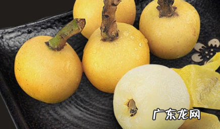 东山白玉枇杷的特点,苏州东山枇杷和西山枇杷哪个好吃