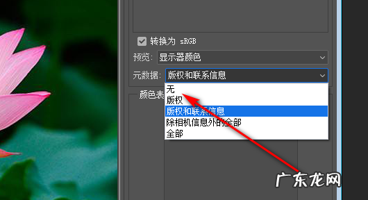 怎么删除exif信息,acdsee如何批量编辑