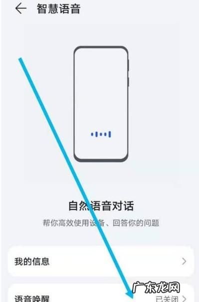 荣耀9x语音助手叫什么,荣耀手机助手叫啥名