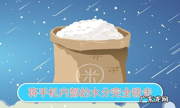 手机掉水里大米埋多久,手机进水放大米里多久可以开机