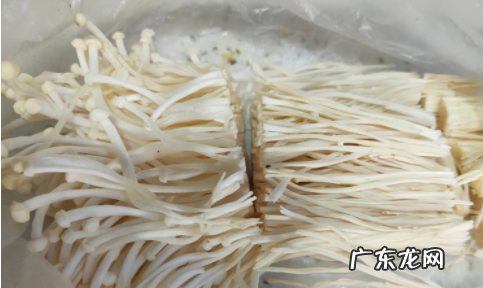金针菇怎么炒,炒金针菇的家常做法