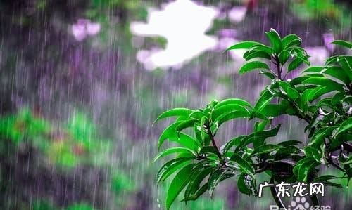 快要下雨前有哪些现象,下雨前的自然现象有哪些画一画