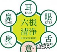 六根六尘六识是什么,六根六尘六识是什么意思